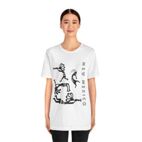 New Mexico Kokopelli t-shirt/New Mexico Shirt/ Land of Enchantment t-shirt//Men's New Mexico shirts/Women's New  Mexico shirts