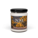 New Mexico Landscapes Scented Soy Candles